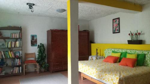 Coyoacan House | Casa Lulú