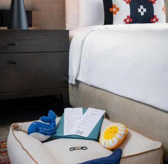 San Miguel de Allende Hotel | Pueblo Bonito Vantage San Miguel de Allende