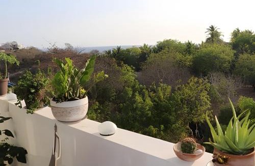 Salchi Apartment | Valentina Salchi Bay virgin beaches fast internet