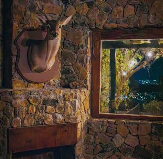Puebla Historic Center Apartment | La Magia del Bosque