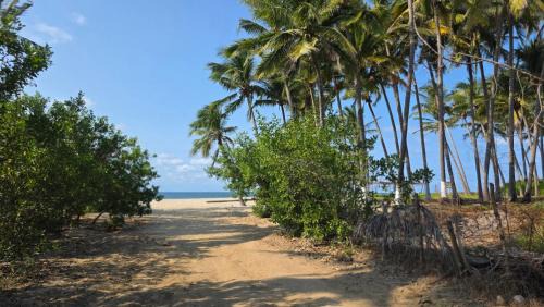Higuera Blanca Apartment | Casa Olivia at La Joya Escondita with Pool & Rooftop Lounge - 2BD - Near Sayulita and Punta Mita