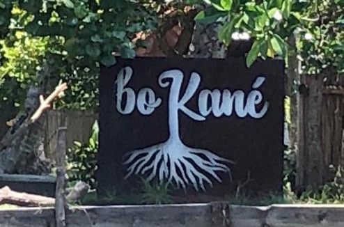 Tonala House | Bokané