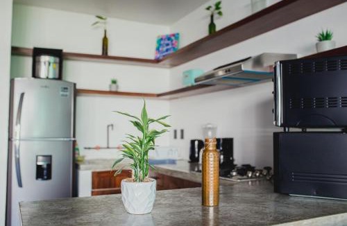 Flamingos Apartment | Nuevo Vallarta Beachfront Studio - Aria Ocean