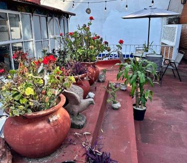 Ojo de Agua Apartment | Beautiful Loft 10 minutes from AIFA
