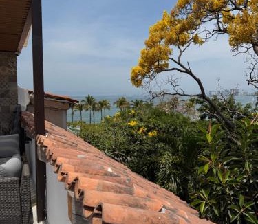 Downtown Puerto Vallarta Hotel | Hotel Casa Kavia Vallarta
