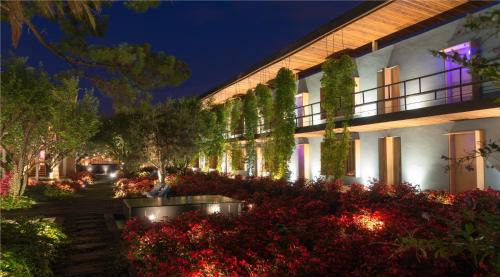 De Mexicanos Hotel | Hotel Bo