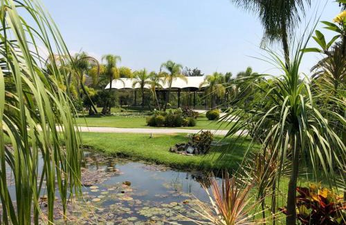 Jiutepec Hotel | Huayacán Cuernavaca Curamoria Collection