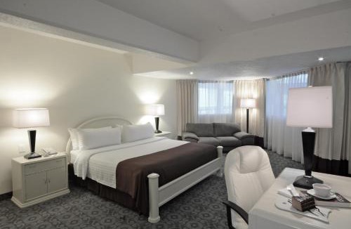 Pachuca Hotel | Mision Pachuca