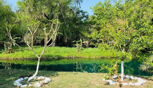 CAMPAMENTO QUINTA SAN PEDRO