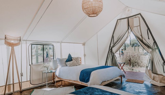 Salterra Glamping