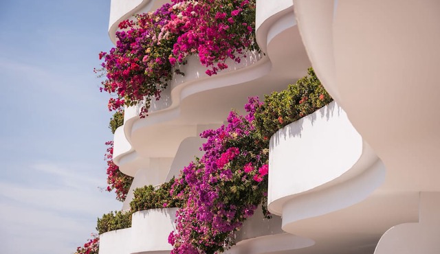 Grand Miramar All Luxury Suites & Residences
