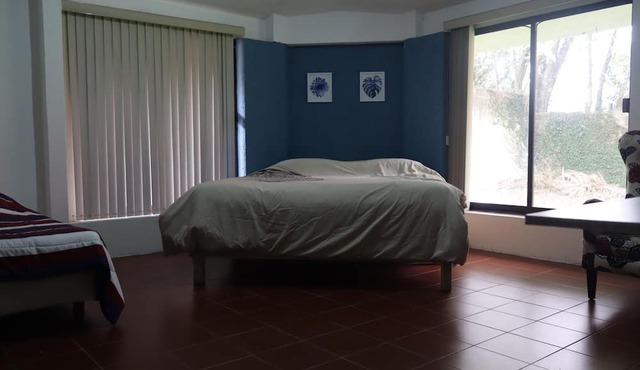 House of Ficus Banderilla,veracruz-mexico