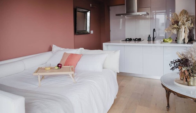 Modern Loft with private balcony, fast wifi and AC in Roma Norte.