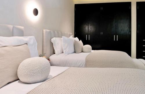 2 Luxury Villas in Condesa with Rooftops 18BR