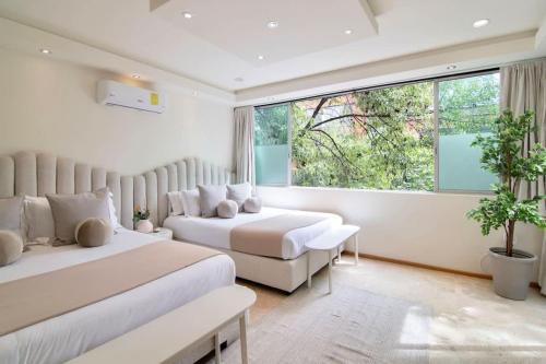 Thoughtfully curated Villa Condesa with AC and Terraces in Mexico City