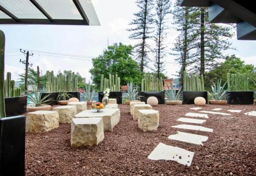 Casa Nahual Where Spirit Meets Design Downtown