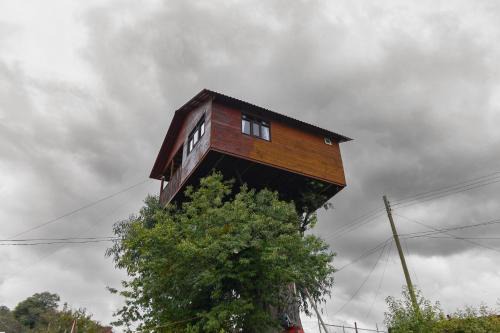 Casita del Arbol Trini By GEstores